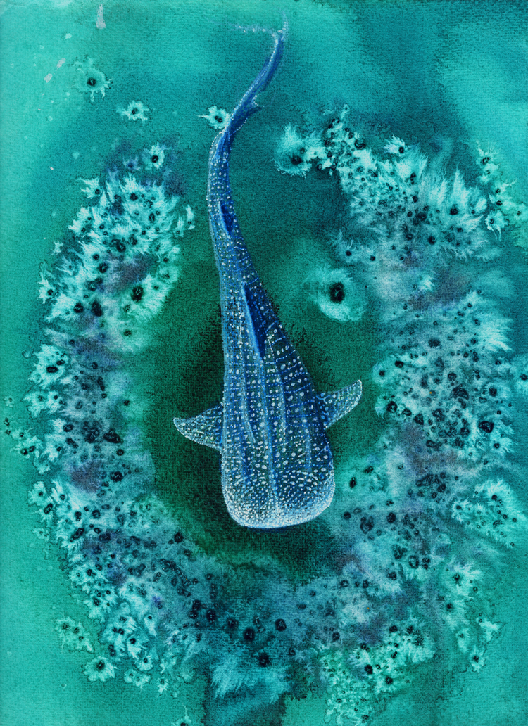 Silent Swim No.1 -
