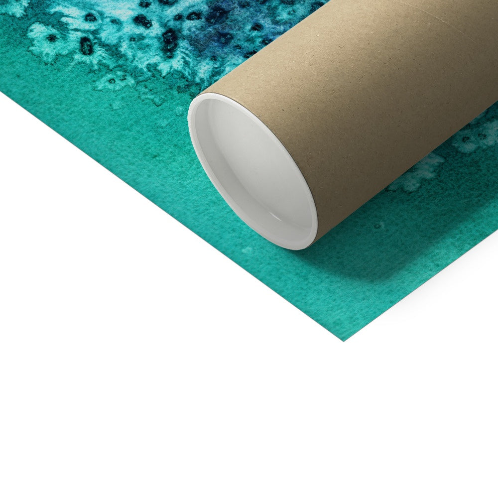 Silent Swim No.1 -  Hahnemühle German Etching Print