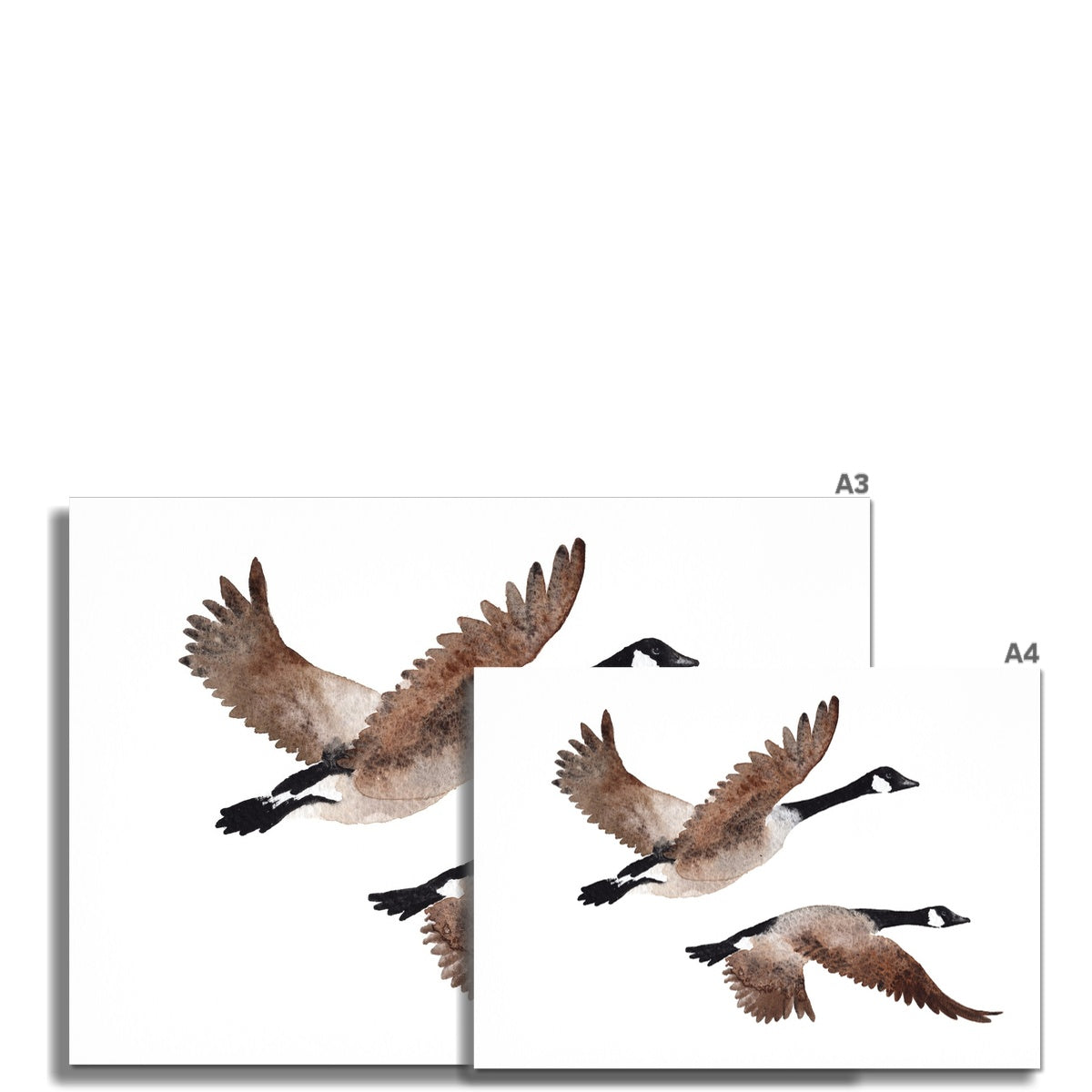 They Fly Home Together -  Hahnemühle German Etching Print