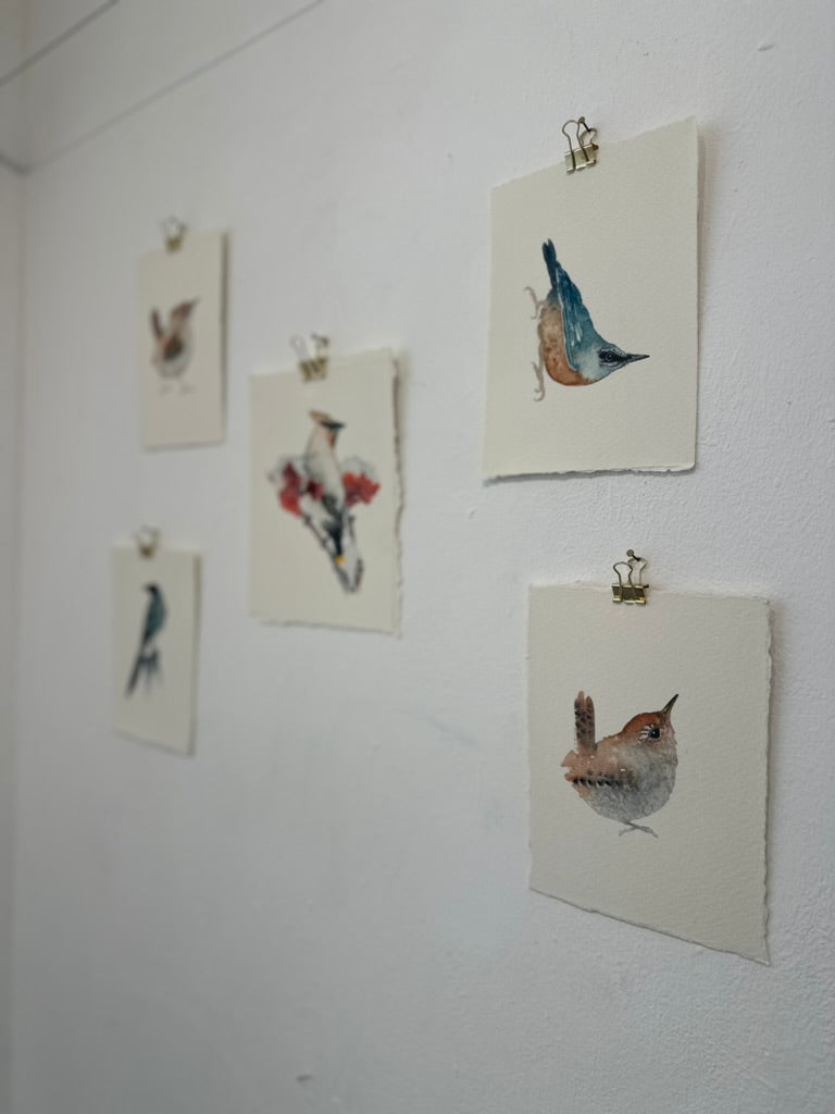 Little Nuthatch no.1 - Original Watercolour Painting