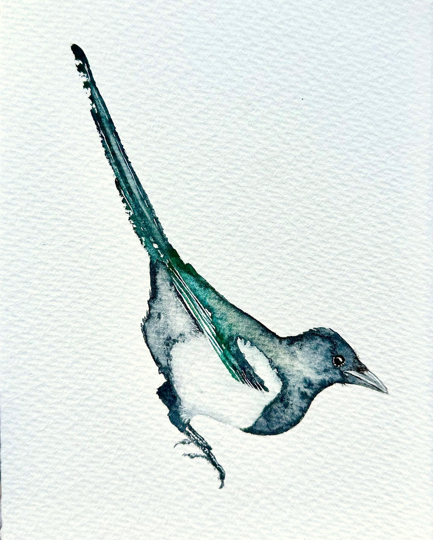 One For Sorrow - Little Magpie - Original Watercolour Painting