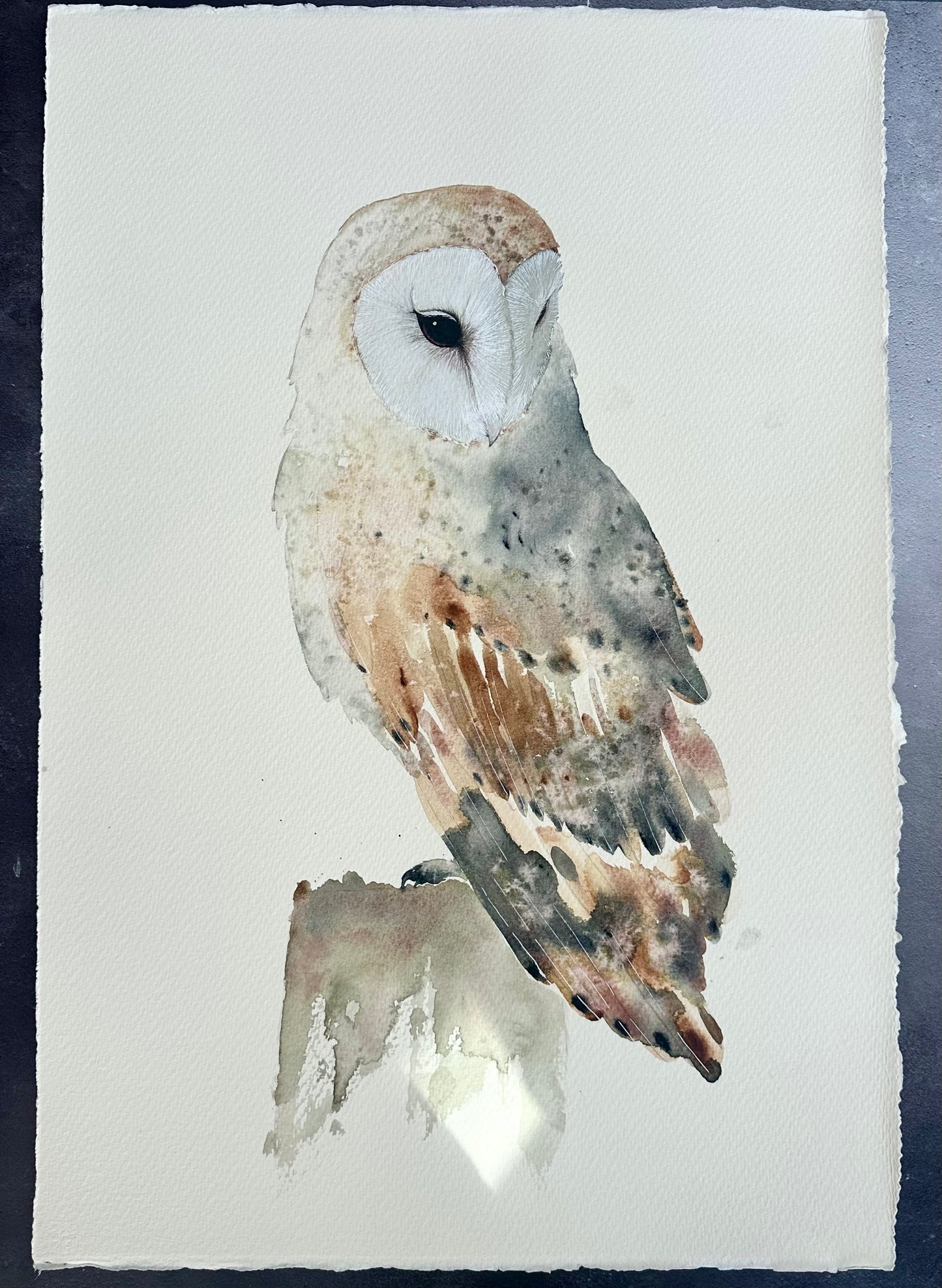 Barn Owl no.3 - Original Large Size Watercolour Painting