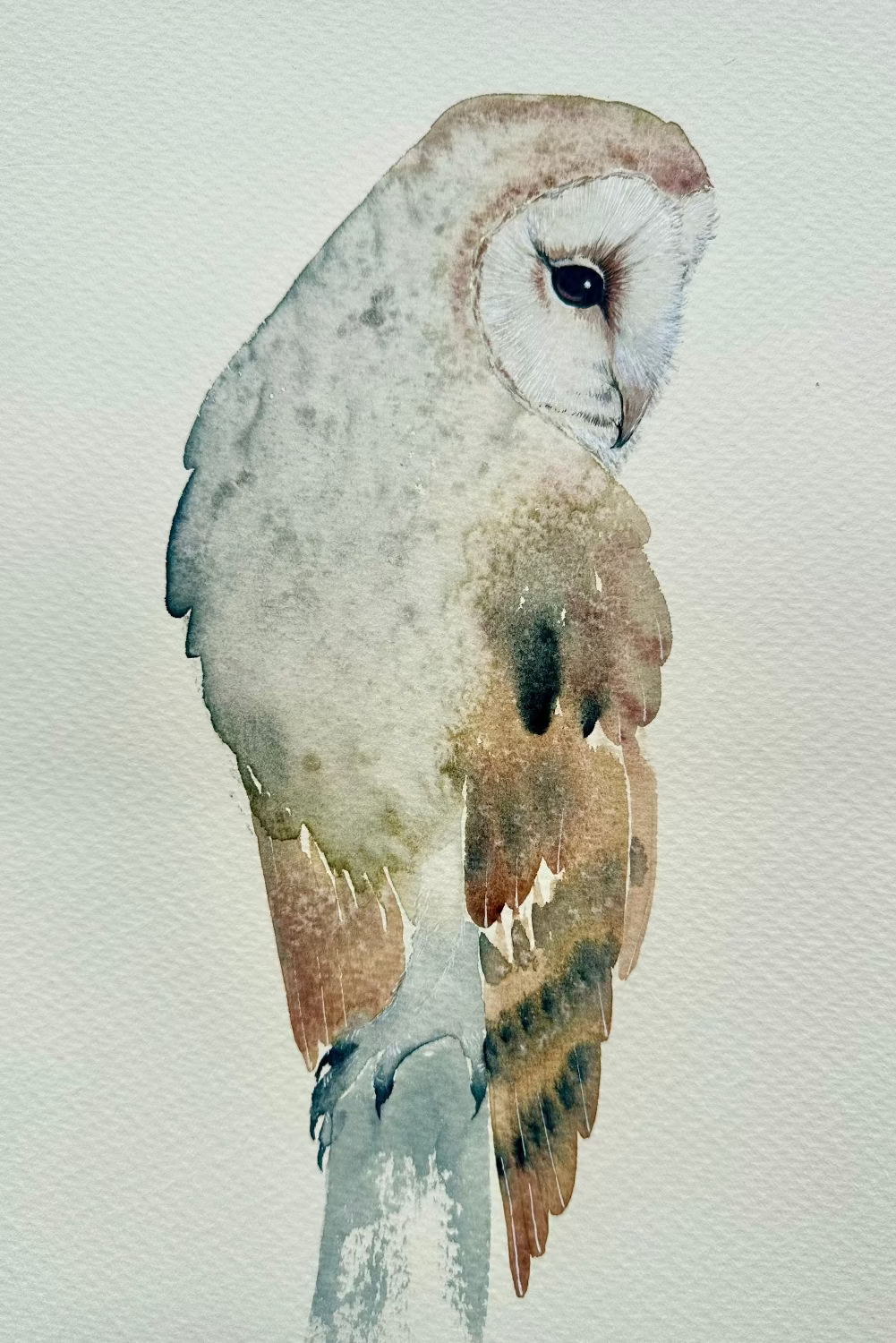 Barn Owl no.2 - Original Medium Size Watercolour Painting