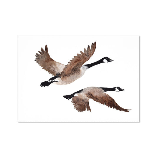 They Fly Home Together -  Hahnemühle German Etching Print