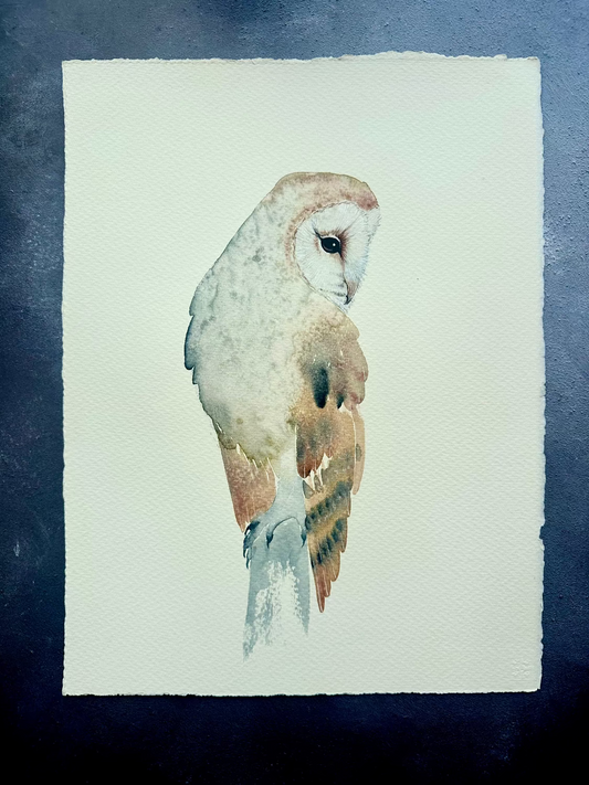 Barn Owl no.2 - Original Medium Size Watercolour Painting