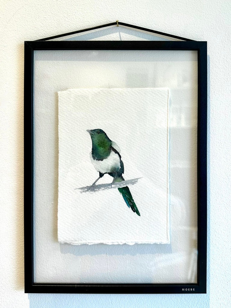 Hello Mr Magpie, How's Your Wife?  - Original Watercolour Painting in A4 Moebe Frame