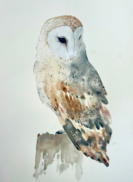 Barn Owl no.3 - Original Large Size Watercolour Painting