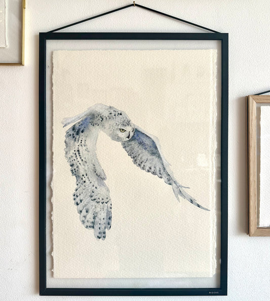 Hunting Snowy Owl - Original Watercolour Painting in A3 Moebe Frame