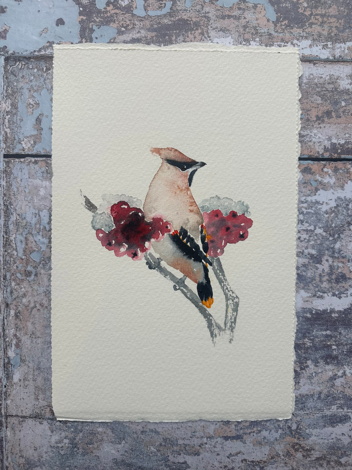 Winter Waxwing - Original Watercolour Painting Commission