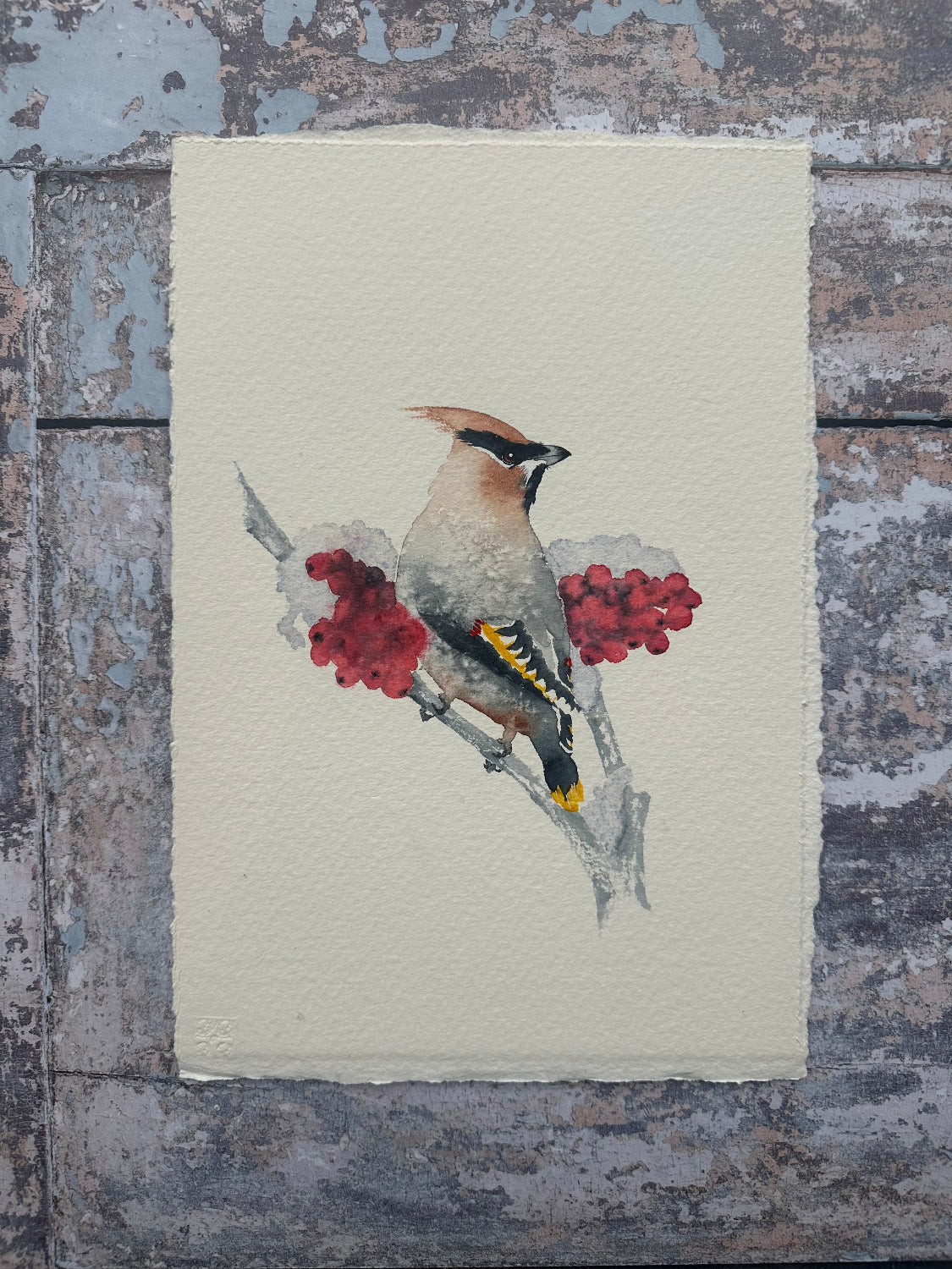 Winter Waxwing - Original Watercolour Painting Commission