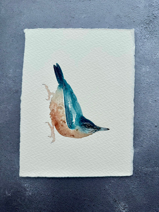 Little Nuthatch no.1 - Original Watercolour Painting