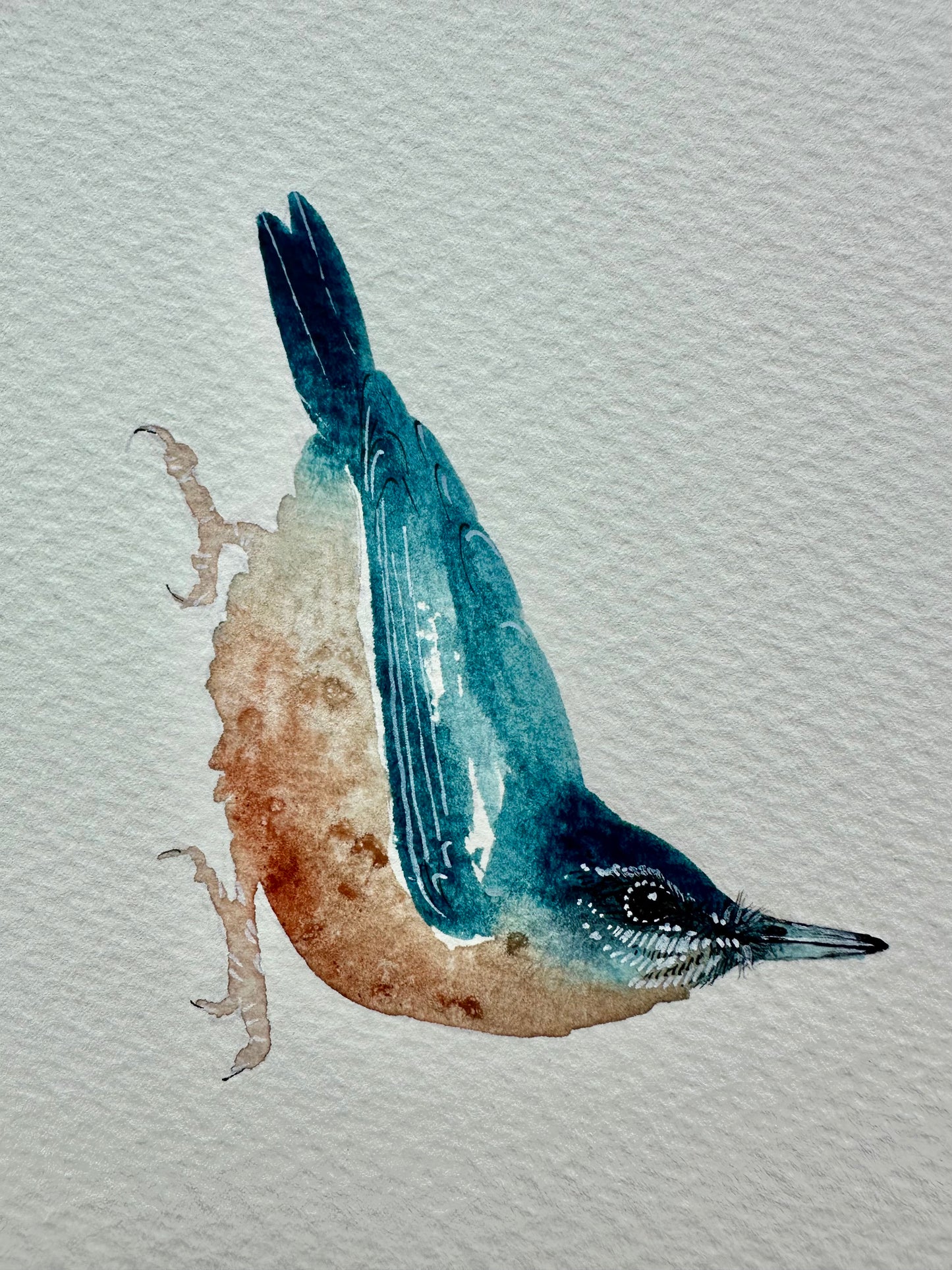 Little Nuthatch no.1 - Original Watercolour Painting