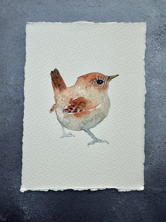 Little Wren no.1 - Original Watercolour Painting