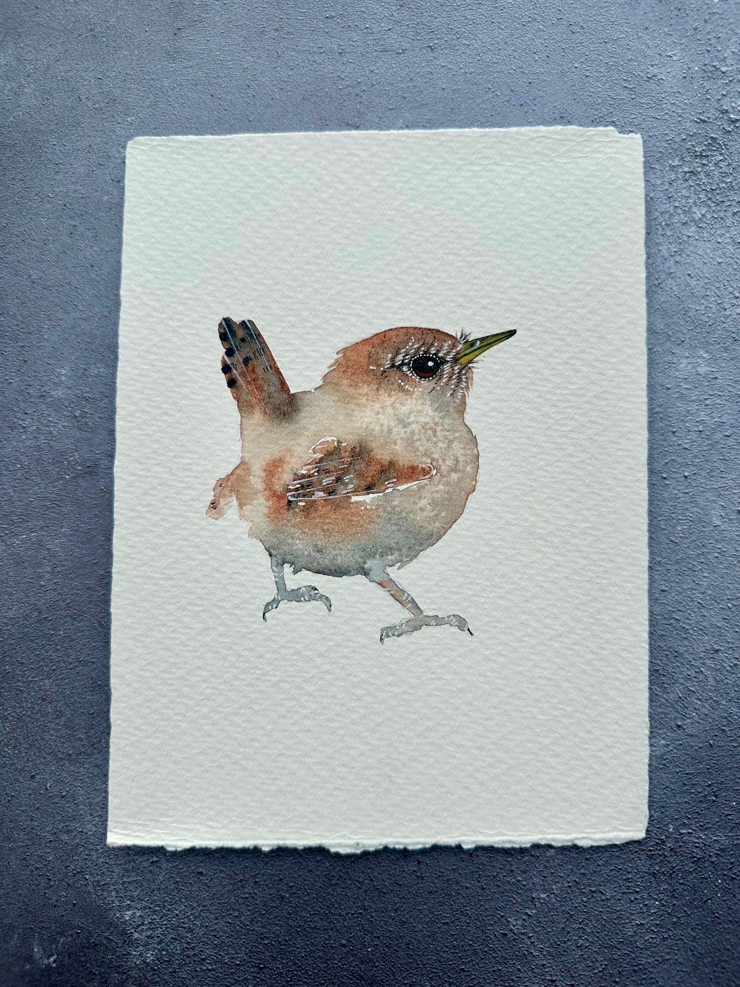 Little Wren no.2 - Original Watercolour Painting
