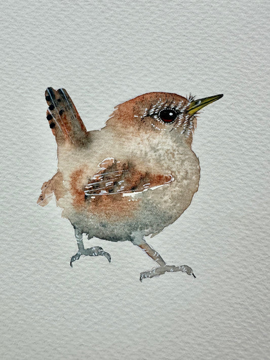 Little Wren no.2 - Original Watercolour Painting