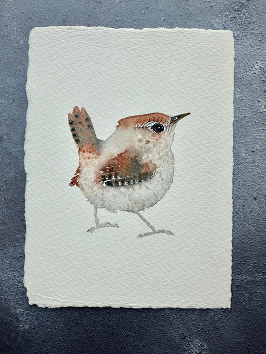 Little Wren no.3 - Original Watercolour Painting