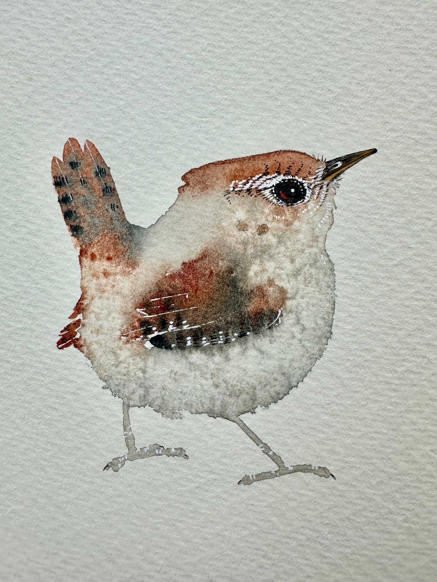 Little Wren no.3 - Original Watercolour Painting