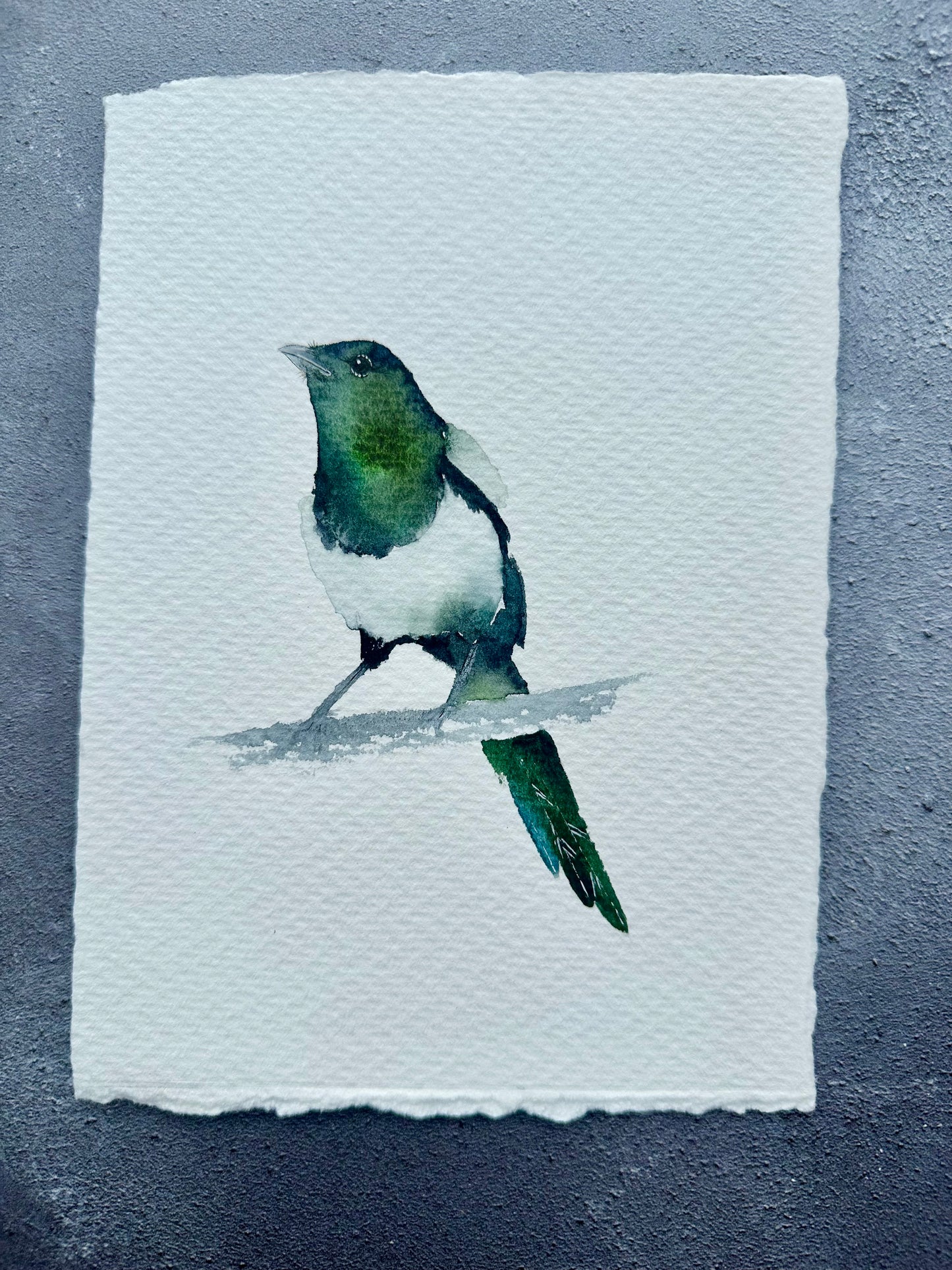 Little Magpie no.1 - Original Watercolour Painting