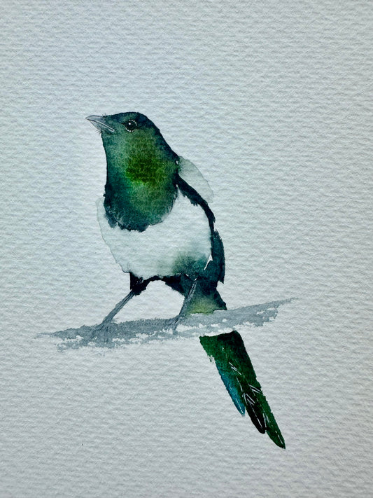 Little  Magpie no.1 - Original Watercolour Painting