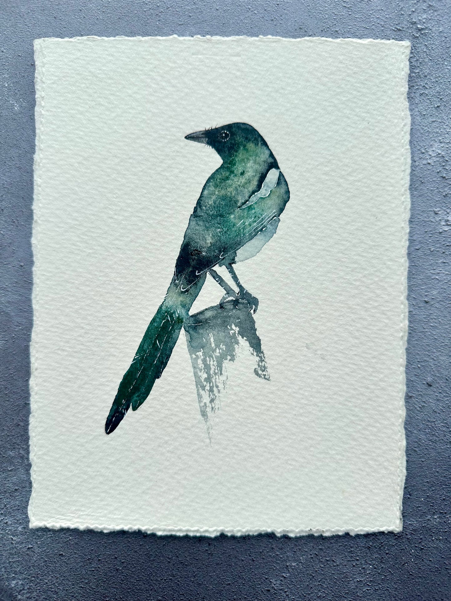 Little Magpie no.2 - Original Watercolour Painting