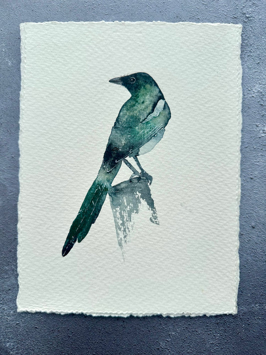 Little  Magpie no.2 - Original Watercolour Painting