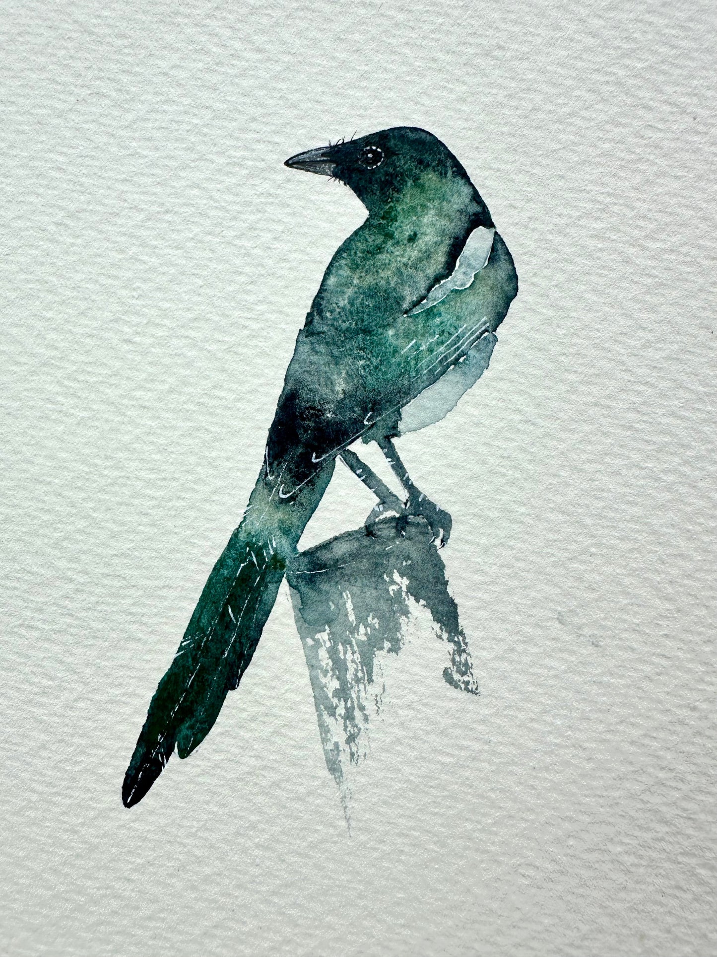 Little Magpie no.2 - Original Watercolour Painting