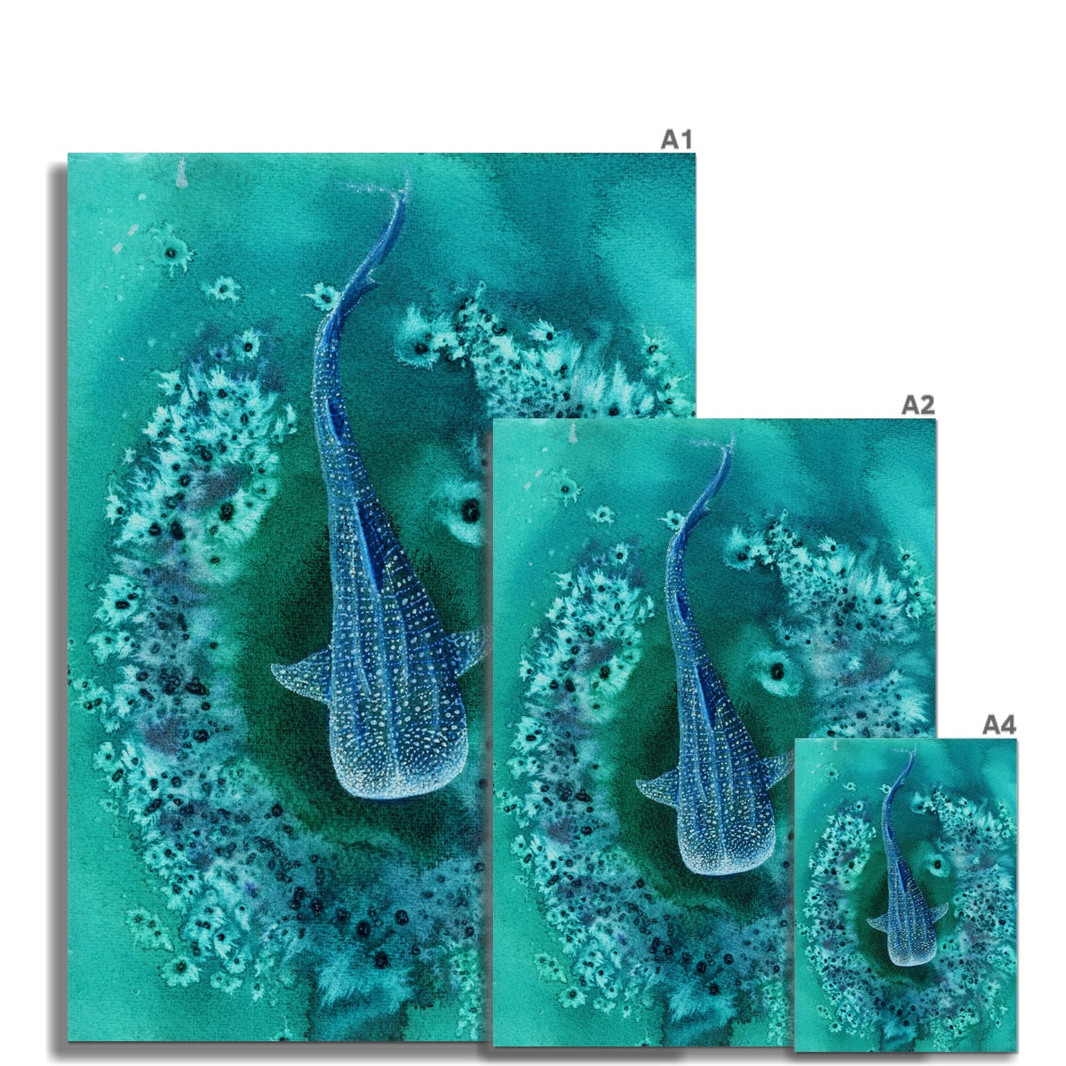 Silent Swim No.1 -  Hahnemühle German Etching Print