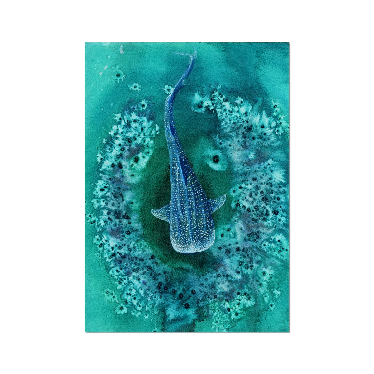 Silent Swim No.1 -  Hahnemühle German Etching Print