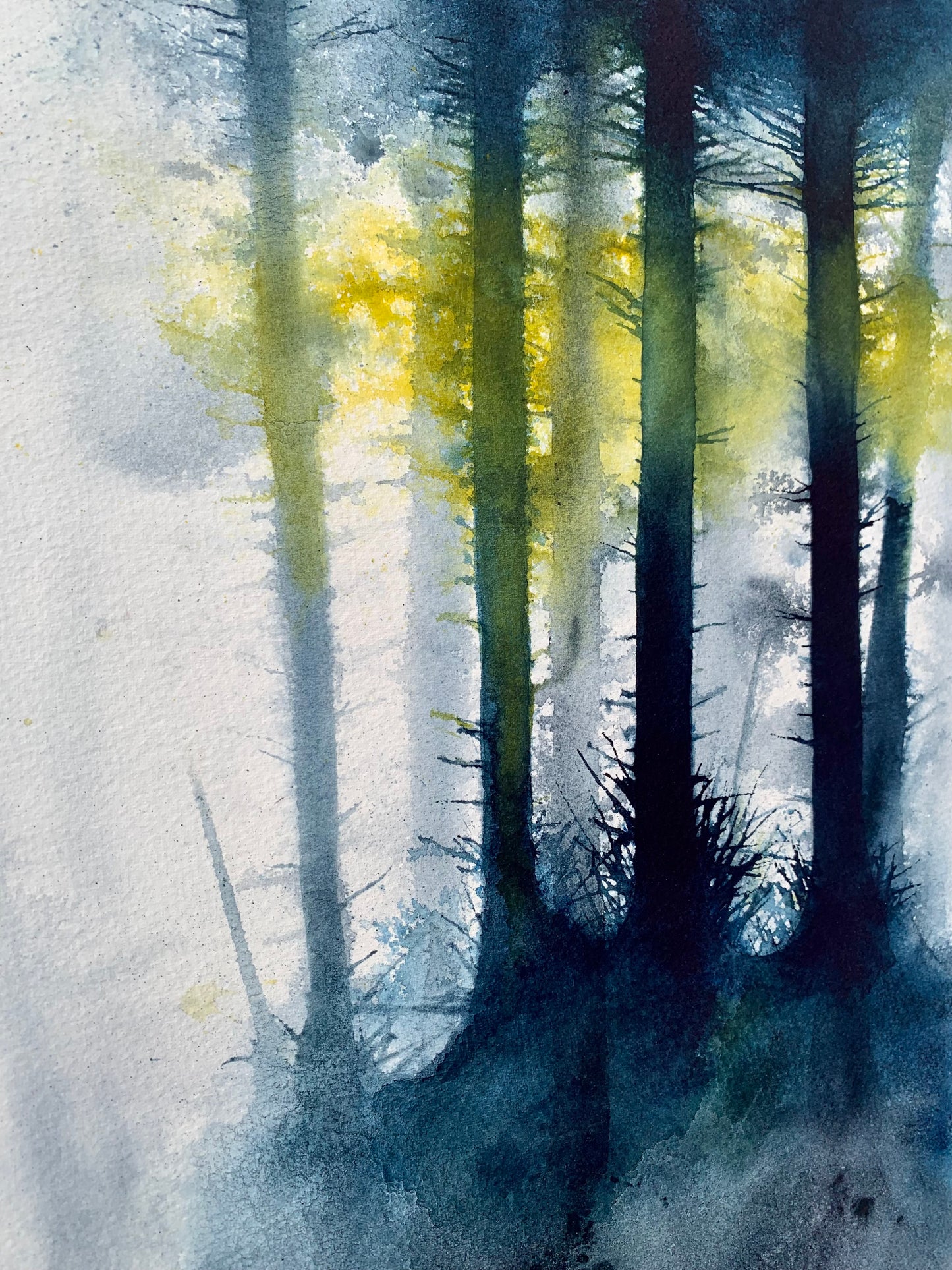 Middleton Woods - Original Large Ink Painting