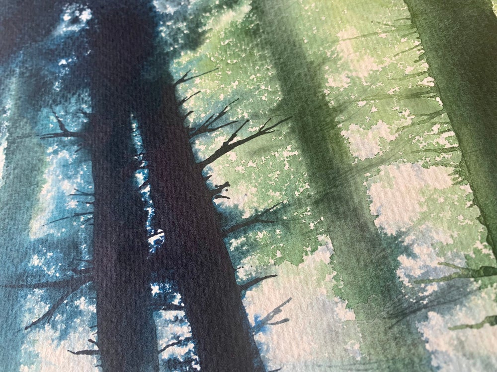 Heber's Ghyll Pines - Original Large Ink Painting