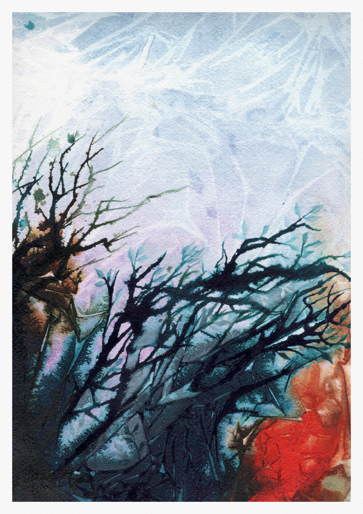 Here I Found Frosted Brambles