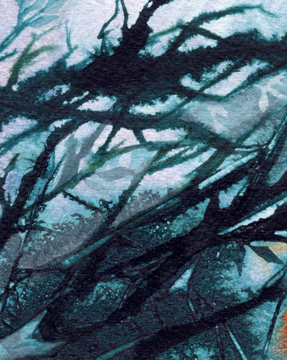 Here I Found Frosted Brambles