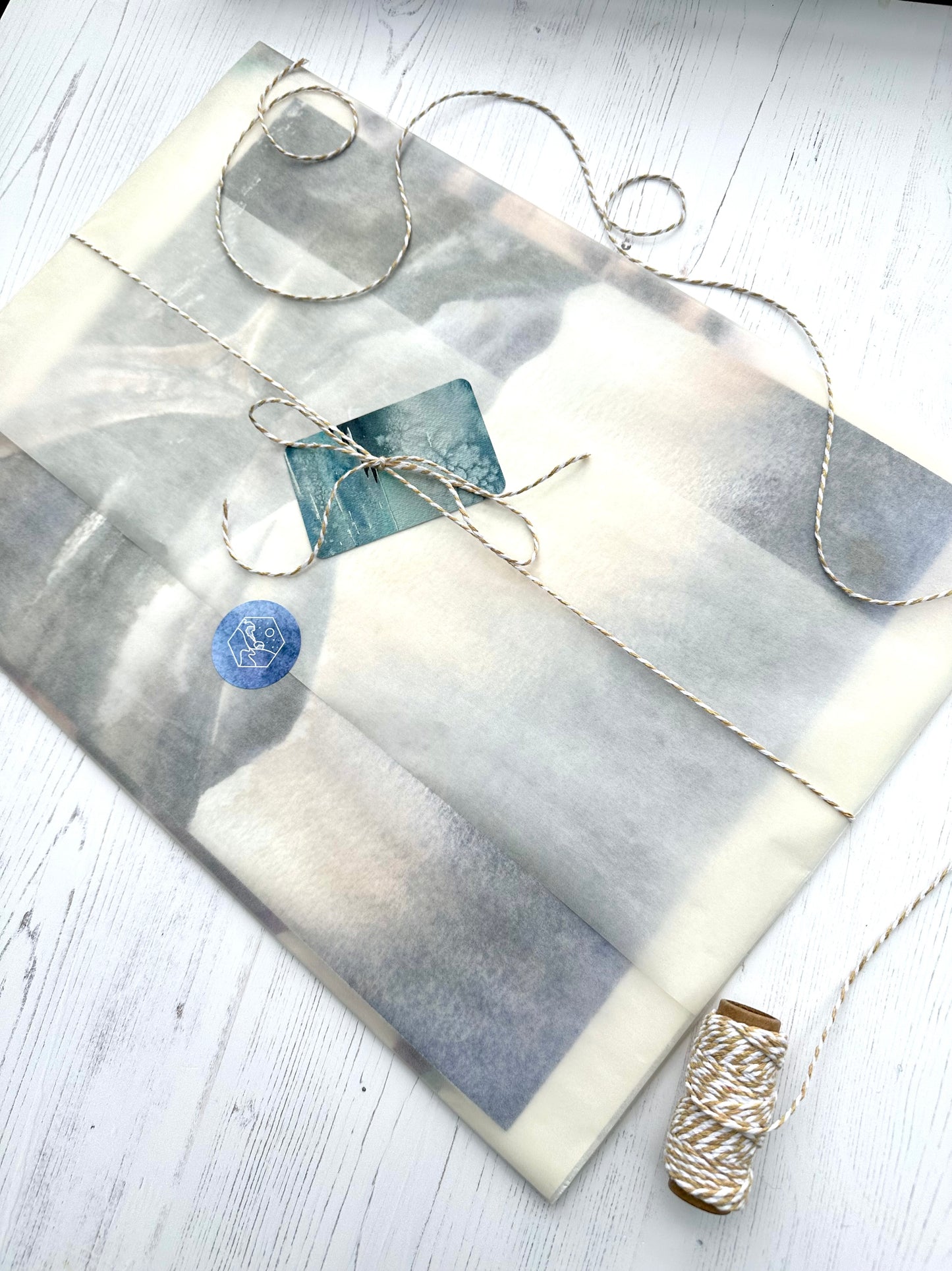 Silent Swim - Studio Print