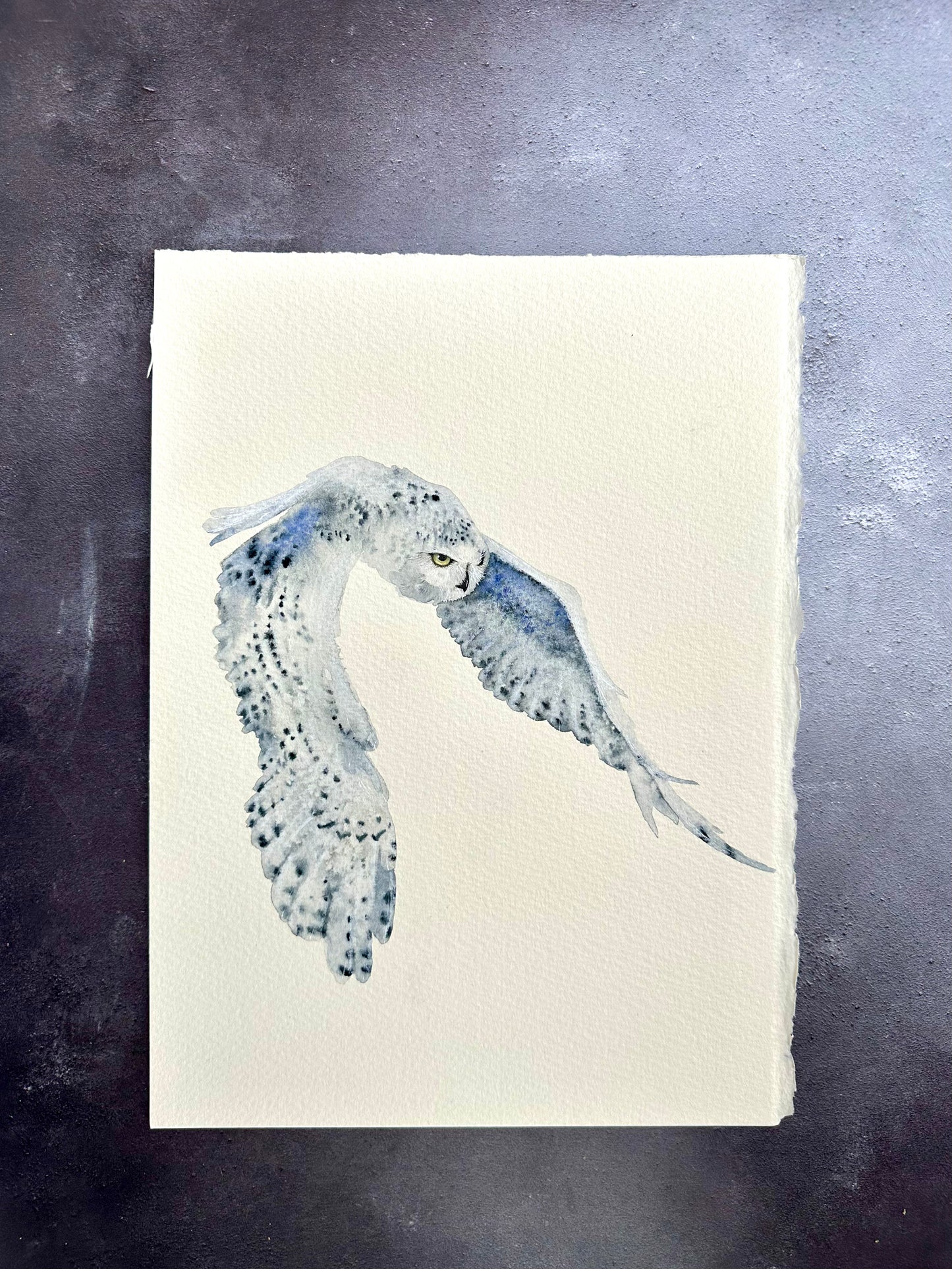 Hunting Snowy Owl - Original Watercolour Painting in A3 Moebe Frame