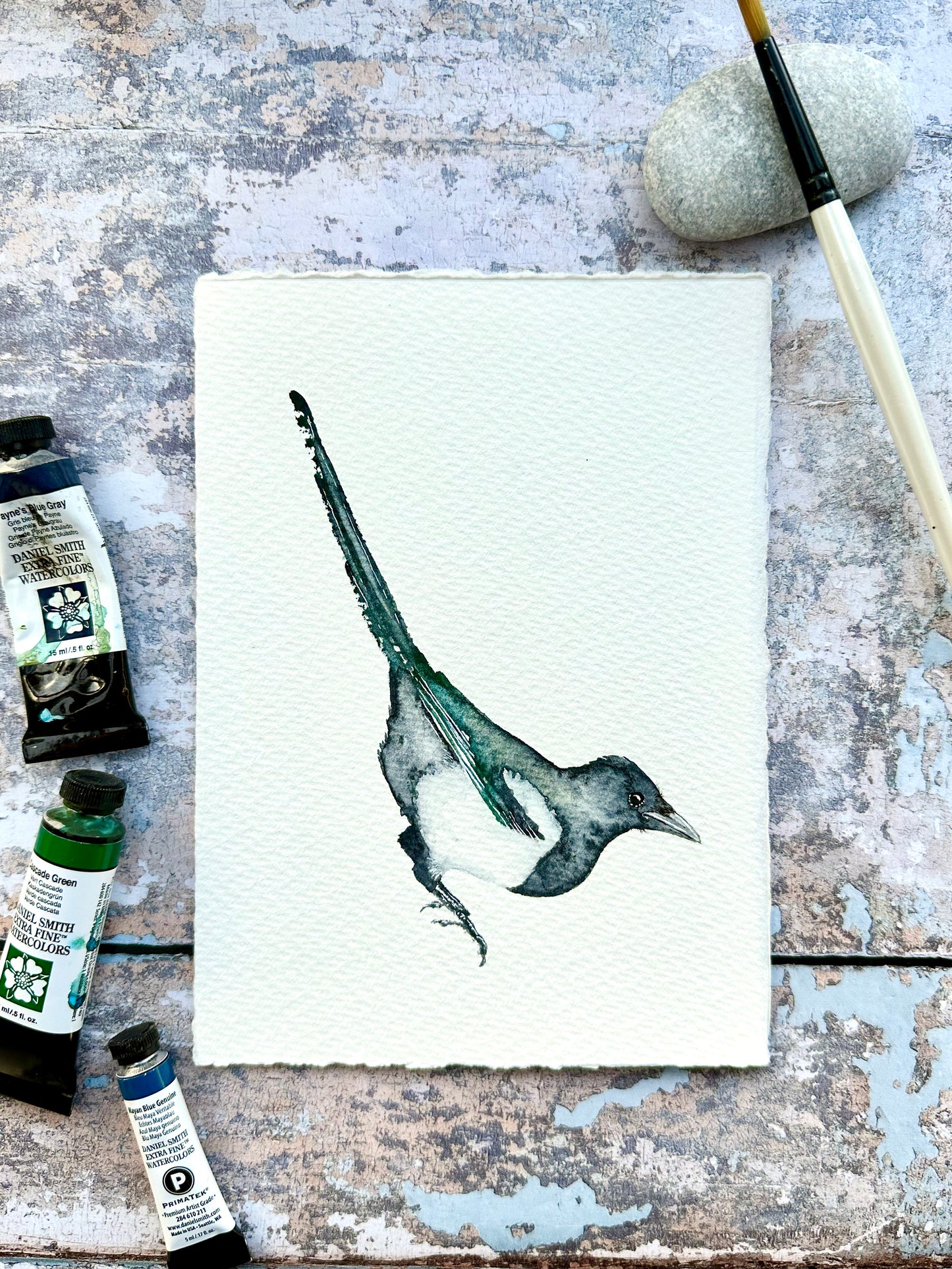 One For Sorrow - Little Magpie - Original Watercolour Painting