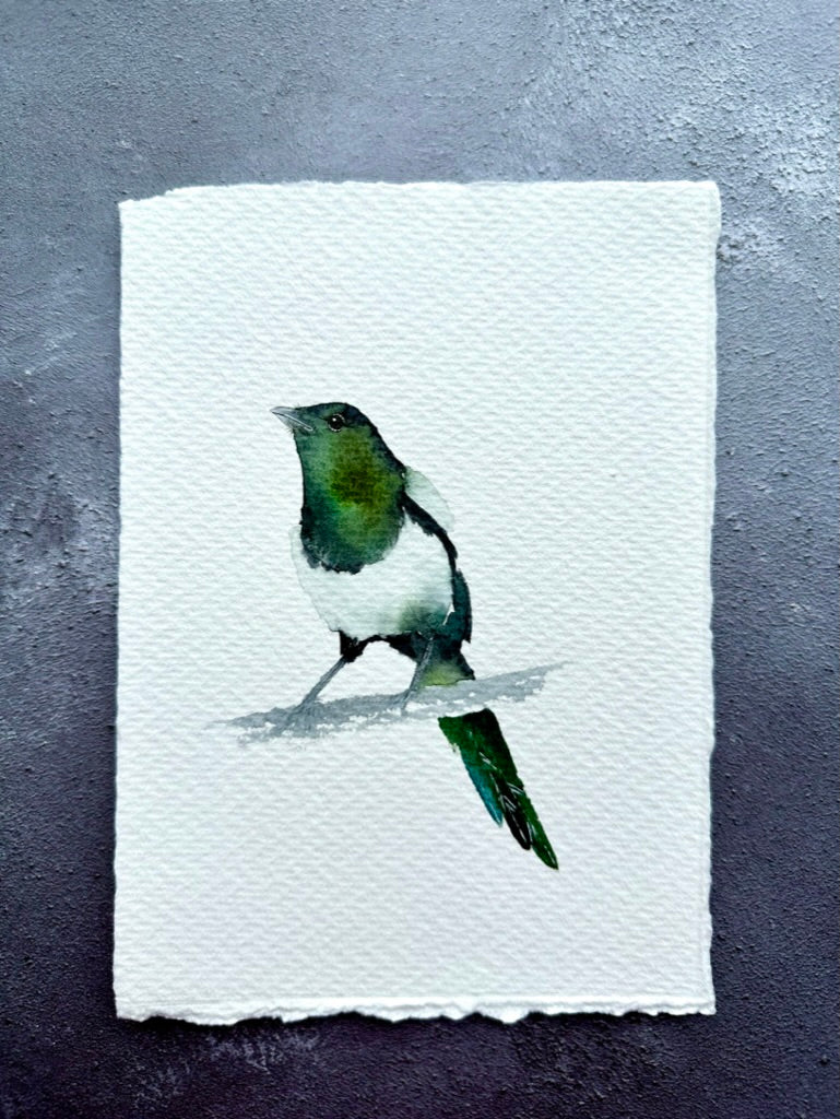 Hello Mr Magpie, How's Your Wife?  - Original Watercolour Painting in A4 Moebe Frame