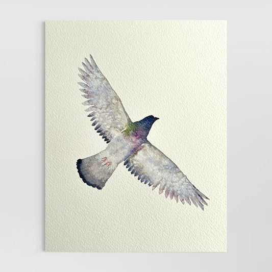 Flying Pigeon - Original Watercolour Painting