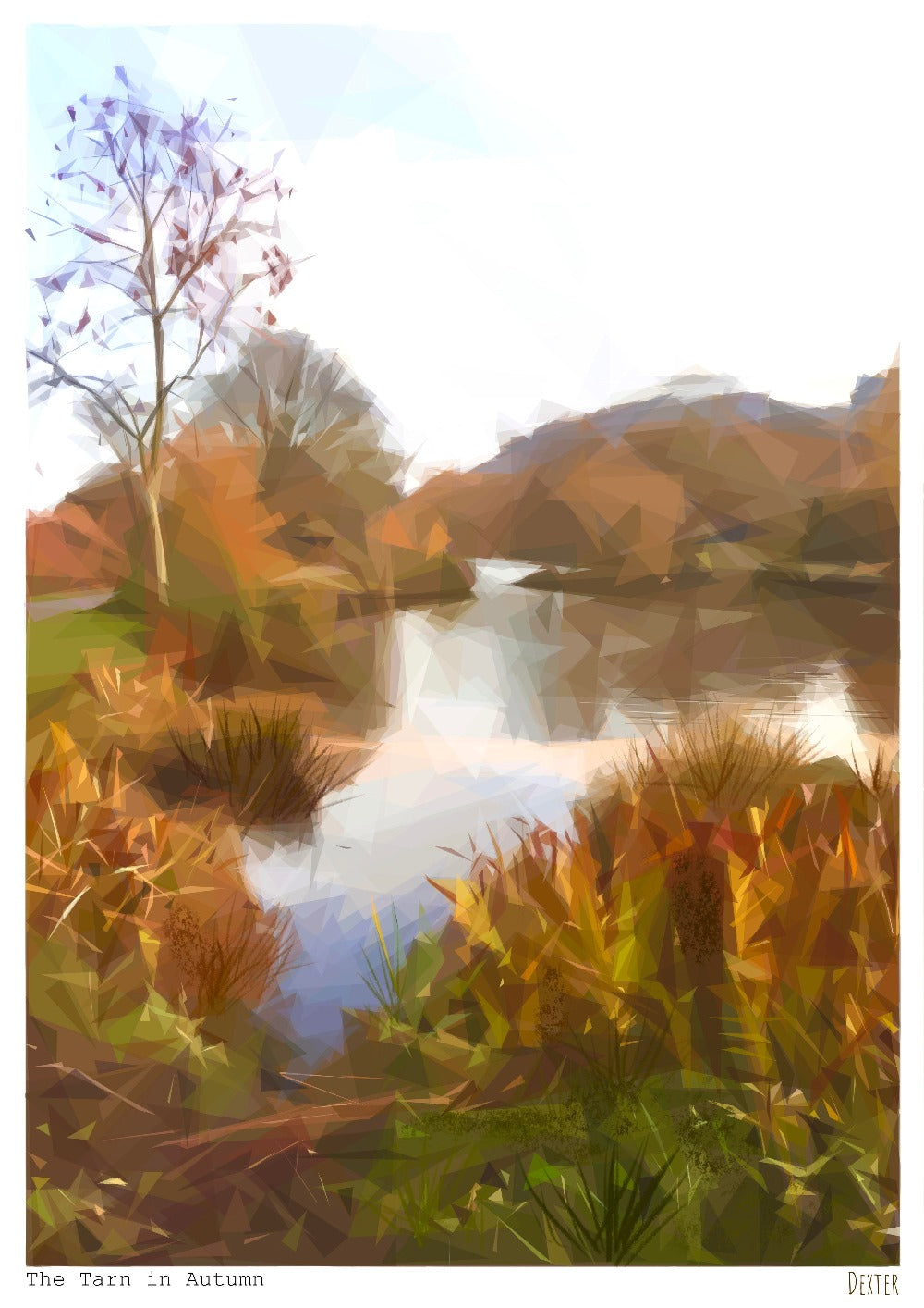 The Tarn in Autumn- Studio Print
