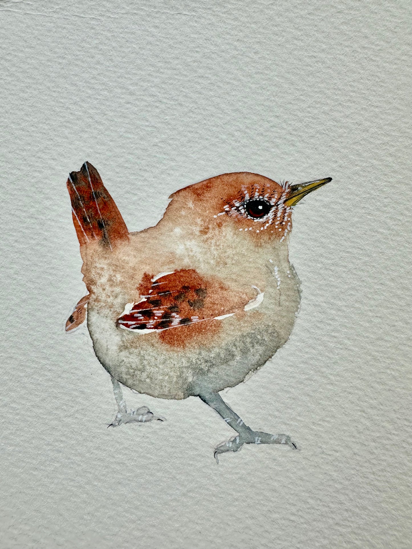 Little Wren no.1 - Original Watercolour Painting