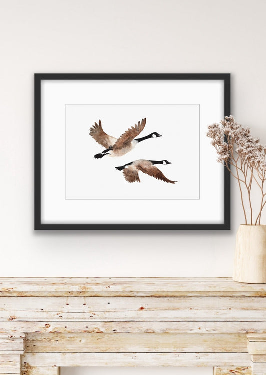 They Fly Home Together - Studio Print